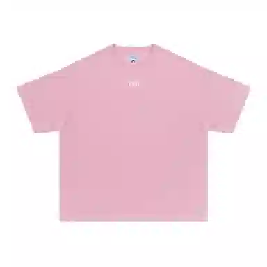 FEAROM T