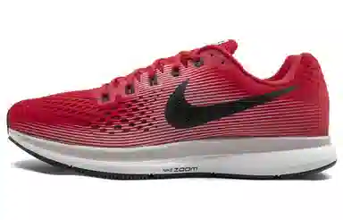Nike Pegasus 34 Zoom