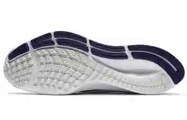 Nike Pegasus 37 "Minnesota Vikings"