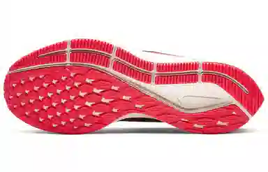 Nike Pegasus 36 Red