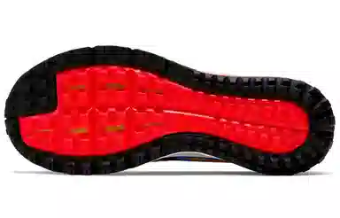 Nike Air Zoom Wildhorse 5