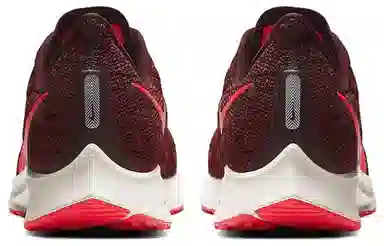 Nike Pegasus 36 Red