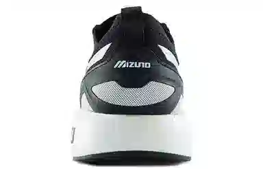 Mizuno PI