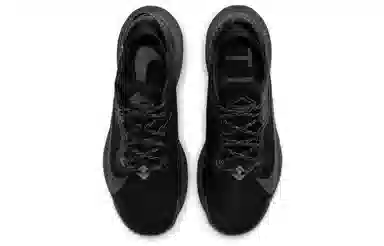 Nike Pegasus Trail 2 GORE-TEX