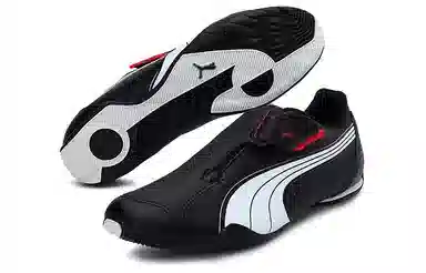 PUMA