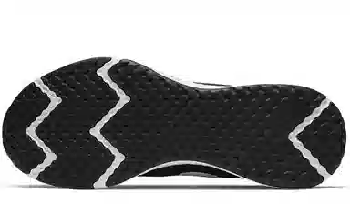 Nike Revolution 5