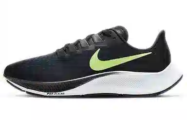 Nike Pegasus 37 37