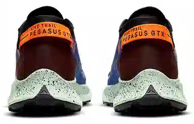Nike Pegasus Trail 2 GORE-TEX