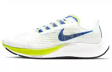Nike Pegasus 37 White
