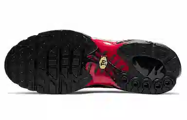 Supreme x Nike Air Max Plus TN