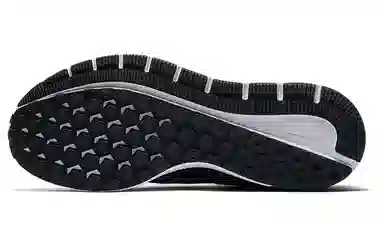 Nike Zoom Structure 22