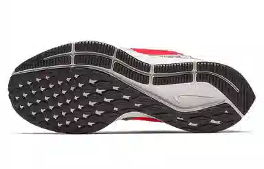 Nike Pegasus 35 Air Zoom