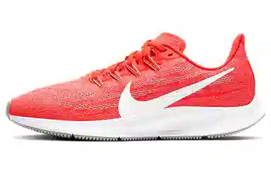 Nike Pegasus 36