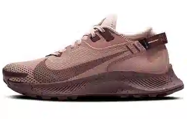 Nike Pegasus Trail 2 GORE-TEX Brown