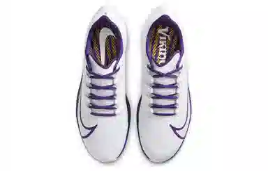 Nike Pegasus 37 "Minnesota Vikings"
