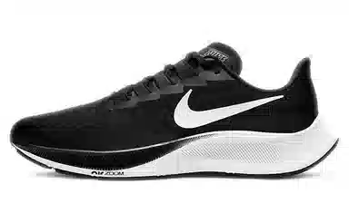 Nike Pegasus 37