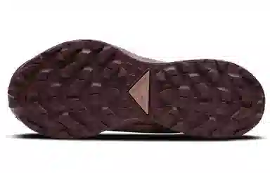 Nike Pegasus Trail 2 GORE-TEX Brown