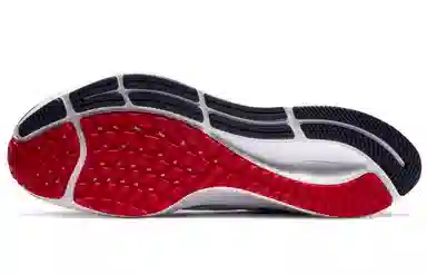 Nike Pegasus 37 "New England Patriots"