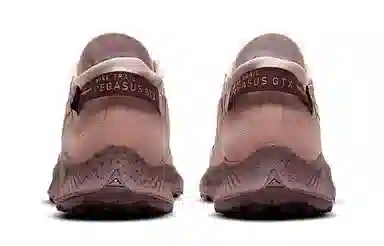 Nike Pegasus Trail 2 GORE-TEX Brown