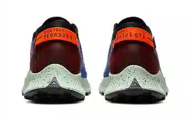 Nike Pegasus Trail 2 GORE-TEX