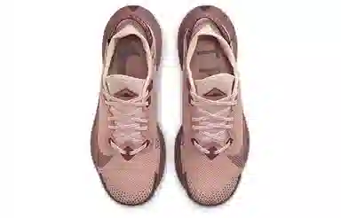 Nike Pegasus Trail 2 GORE-TEX Brown