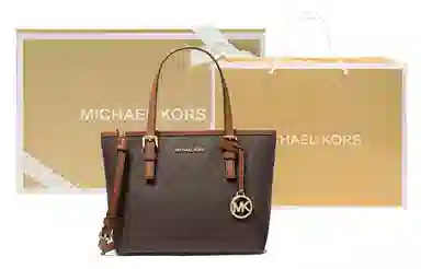 Michael Kors Jet Set Mini Tote