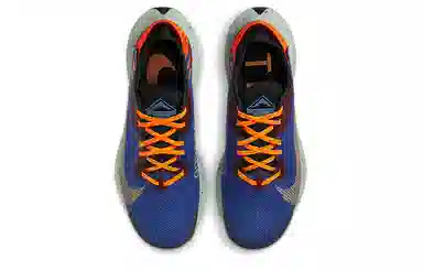 Nike Pegasus Trail 2 GORE-TEX