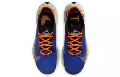 Nike Pegasus Trail 2 GORE-TEX