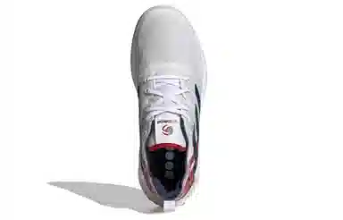 adidas Crazy Flight Usav
