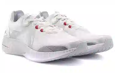 3.0 pro