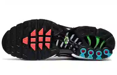 Nike Air Max Plus Worldwide Black