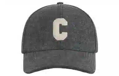 CELINE Cap Grey
