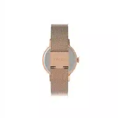 TIMEXTREND 36mm TW2V37100-1