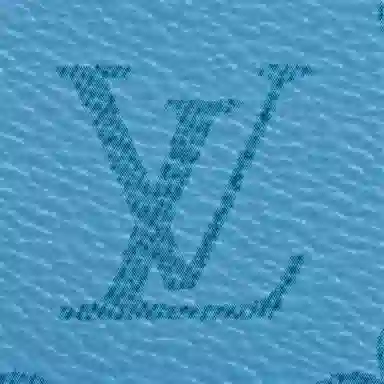 LOUIS VUITTON Coin