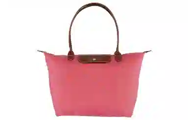 LONGCHAMP Le Pliage 31