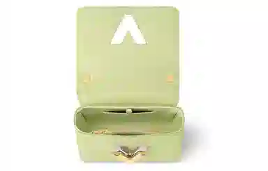 LOUIS VUITTON twist PM Epi