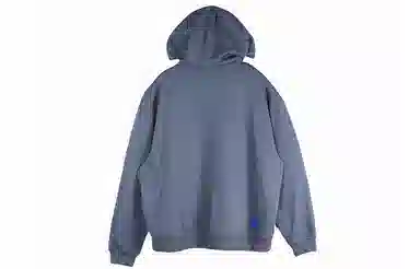 ROARINGWILD ARCH Hoodie