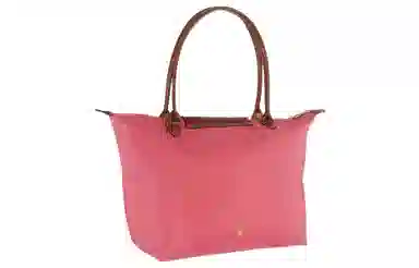 LONGCHAMP Le Pliage 31
