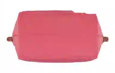 LONGCHAMP Le Pliage 31