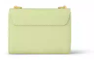 LOUIS VUITTON twist PM Epi