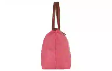 LONGCHAMP Le Pliage 31