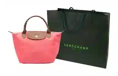 LONGCHAMP Le Pliage 23 Logo