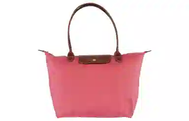 LONGCHAMP Le Pliage 31