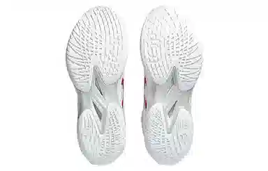 Asics Gel-Hoop V15