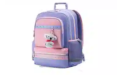SAMSONITE