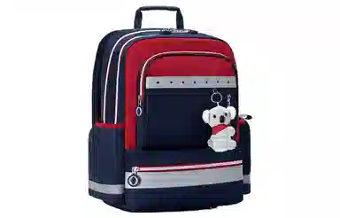 SAMSONITE
