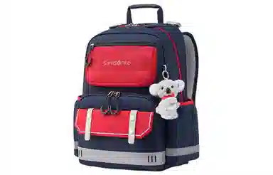Samsonite Children's Backpack Blue Red