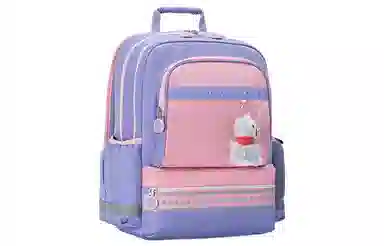 SAMSONITE