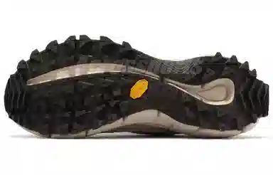 Reebok Zig Kinetica 2.5 Beige