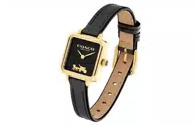 COACHCass 22mm 14504225